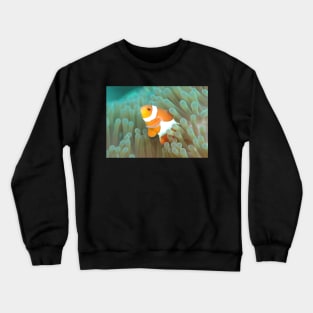 CLOWN FISH HIDING IN THE OCEAN CORAL DESIGN Crewneck Sweatshirt